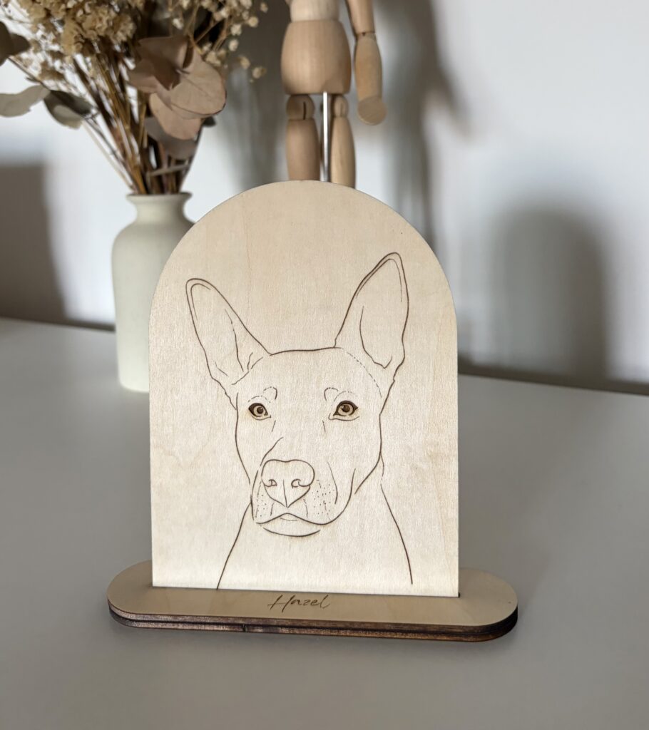 Placa personalizada con grabado de mascota + nombre en la base